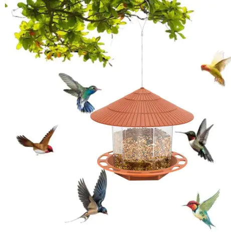 Smart Bird Feeding Station